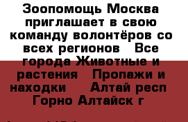 Зоопомощь.Москва приглашает в свою команду волонтёров со всех регионов - Все города Животные и растения » Пропажи и находки   . Алтай респ.,Горно-Алтайск г.